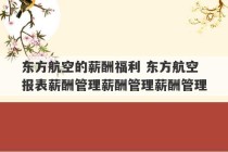 东方航空的薪酬福利 东方航空报表薪酬管理薪酬管理薪酬管理