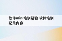 软件mini培训经验 软件培训记录内容