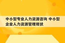 中小型专业人力资源咨询 中小型企业人力资源管理现状