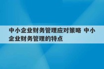 中小企业财务管理应对策略 中小企业财务管理的特点