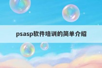 psasp软件培训的简单介绍