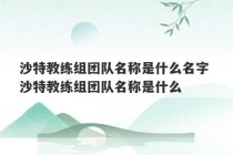 沙特教练组团队名称是什么名字 沙特教练组团队名称是什么