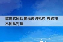 教练式团队建设咨询机构 教练技术团队打造