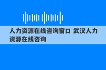 人力资源在线咨询窗口 武汉人力资源在线咨询