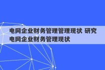 电网企业财务管理管理现状 研究电网企业财务管理现状