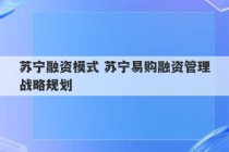 苏宁融资模式 苏宁易购融资管理战略规划