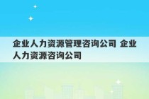 企业人力资源管理咨询公司 企业人力资源咨询公司