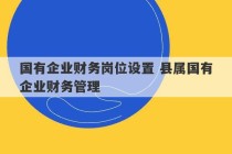 国有企业财务岗位设置 县属国有企业财务管理