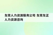 东莞人力资源服务公司 东莞东正人力资源咨询