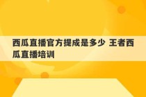 西瓜直播官方提成是多少 王者西瓜直播培训