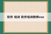 软件 培训 软件培训教师vue