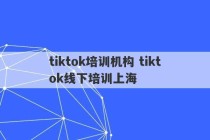 tiktok培训机构 tiktok线下培训上海