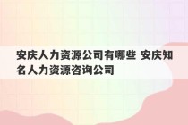 安庆人力资源公司有哪些 安庆知名人力资源咨询公司