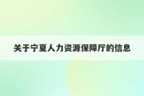 关于宁夏人力资源保障厅的信息