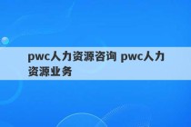 pwc人力资源咨询 pwc人力资源业务