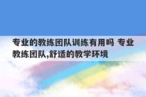 专业的教练团队训练有用吗 专业教练团队,舒适的教学环境