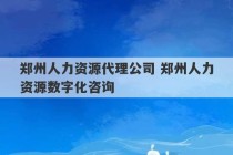 郑州人力资源代理公司 郑州人力资源数字化咨询