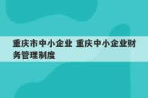 重庆市中小企业 重庆中小企业财务管理制度