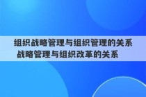 组织战略管理与组织管理的关系 战略管理与组织改革的关系