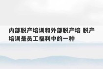 内部脱产培训和外部脱产培 脱产培训是员工福利中的一种