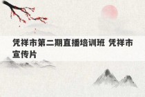 凭祥市第二期直播培训班 凭祥市宣传片