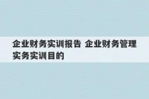 企业财务实训报告 企业财务管理实务实训目的