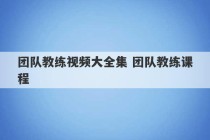 团队教练视频大全集 团队教练课程