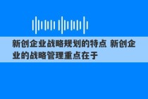 新创企业战略规划的特点 新创企业的战略管理重点在于