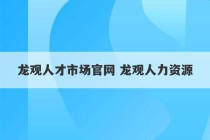 龙观人才市场官网 龙观人力资源