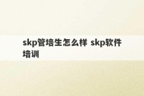 skp管培生怎么样 skp软件培训