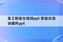 员工职业化培训ppt 职业化培训课件ppt