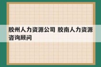 胶州人力资源公司 胶南人力资源咨询顾问