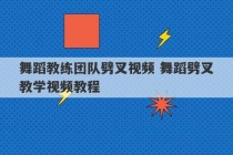 舞蹈教练团队劈叉视频 舞蹈劈叉教学视频教程