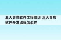 北大青鸟软件工程培训 北大青鸟软件开发课程怎么样