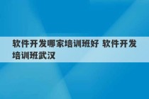 软件开发哪家培训班好 软件开发培训班武汉