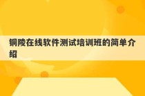 铜陵在线软件测试培训班的简单介绍