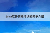 java软件高级培训的简单介绍