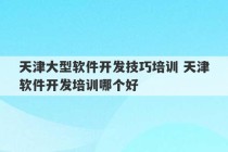 天津大型软件开发技巧培训 天津软件开发培训哪个好