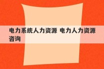 电力系统人力资源 电力人力资源咨询