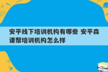 安平线下培训机构有哪些 安平森课帮培训机构怎么样