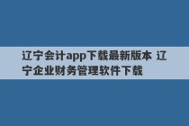 辽宁会计app下载最新版本 辽宁企业财务管理软件下载