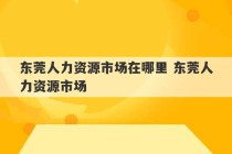 东莞人力资源市场在哪里 东莞人力资源市场