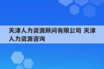 天津人力资源顾问有限公司 天津人力资源咨询