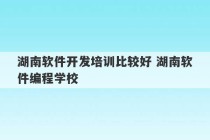 湖南软件开发培训比较好 湖南软件编程学校