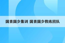 国青国少集训 国青国少教练团队