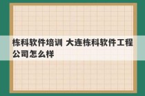 栋科软件培训 大连栋科软件工程公司怎么样