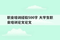 职业培训经验500字 大学生职业培训论文论文