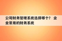 公司财务管理系统选择哪个？ 企业常用的财务系统