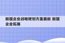 新疆企业战略规划方案最新 新疆企业拓展