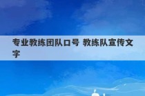 专业教练团队口号 教练队宣传文字